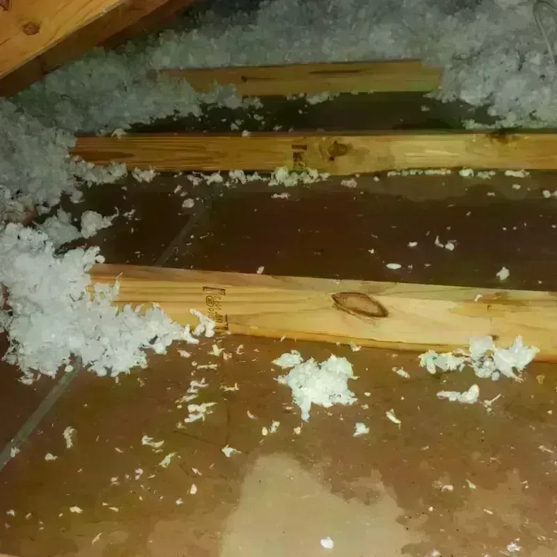 Attic Water Damage in South Hutchinson, KS