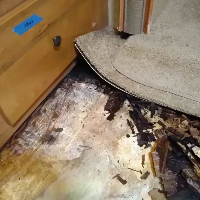 Wood Floor Water Damage in South Hutchinson, KS